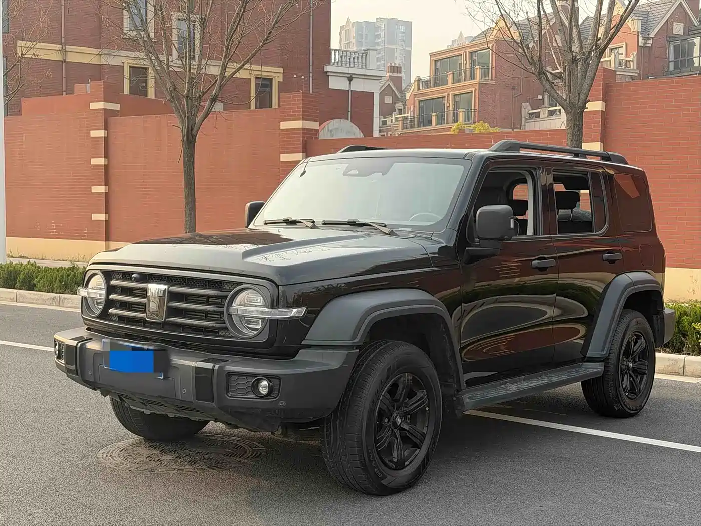 Tank 300 2021 Off-road Version 2.0T Conqueror