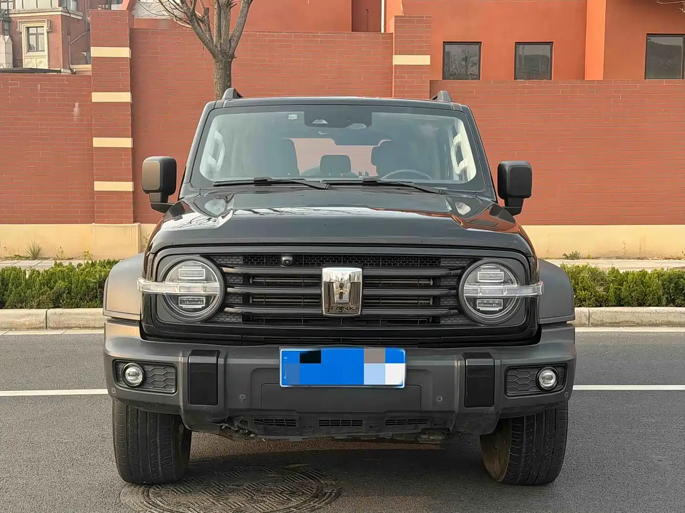 Tank 300 2021 Off-road Version 2.0T Conqueror фото 2