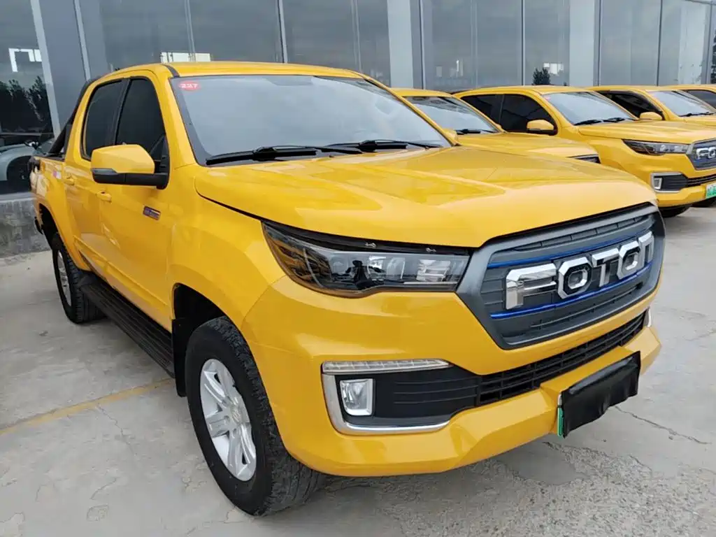 Foton Dajiangjun EV 2021 2022 National Glory Edition Multi-purpose Truck