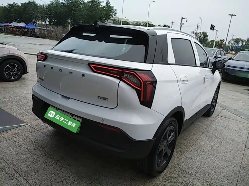 Geely Geometry E Firefly 2024 2024 Model 301km Starlight
