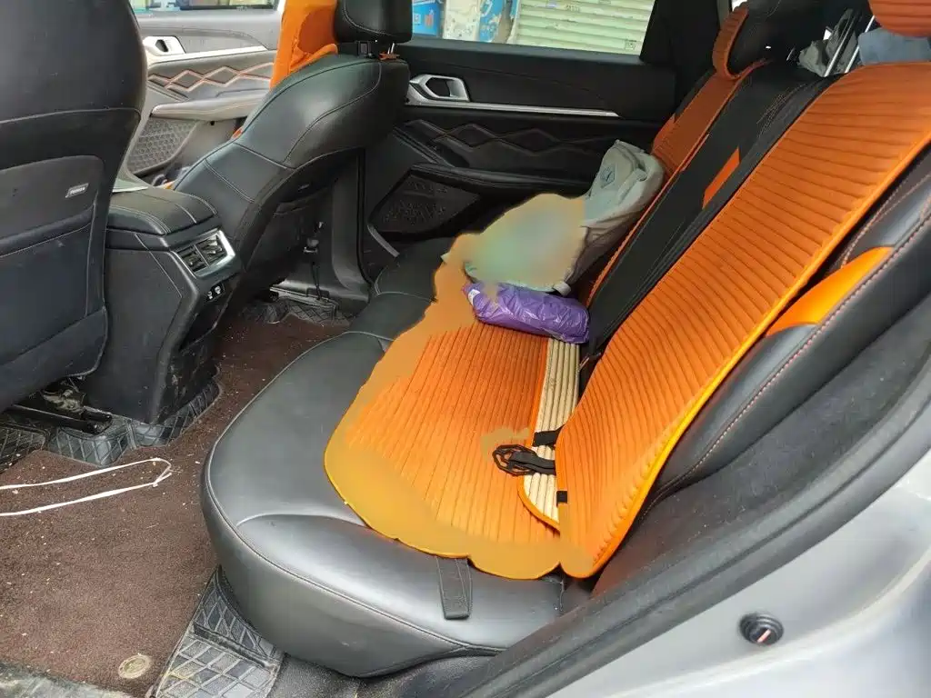 Haval Shenshou 2022 2022 1.5T Smart Leader Edition