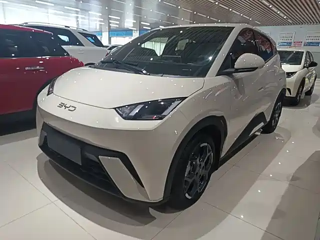 BYD Seagull 2024