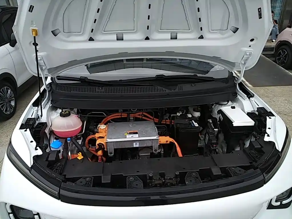 Geely Geometry E Firefly 2024 2024 Model 301km Starlight