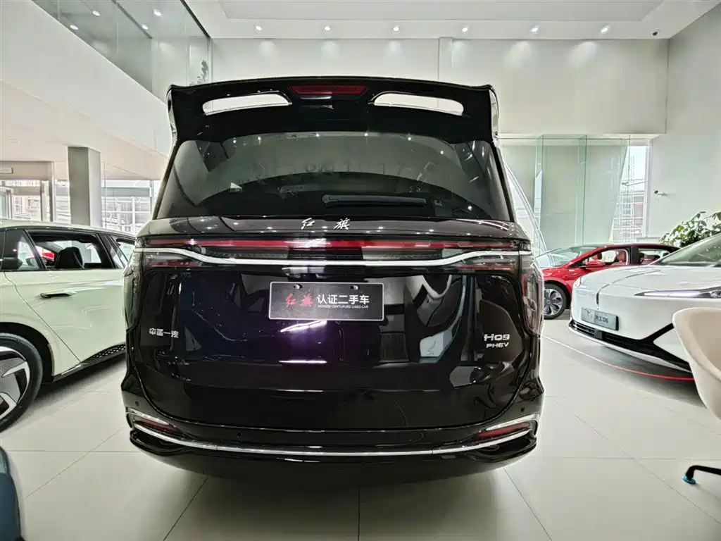Hongqi HQ9 PHEV 2024 Model 2.0T AWD Luxury Edition фото 23