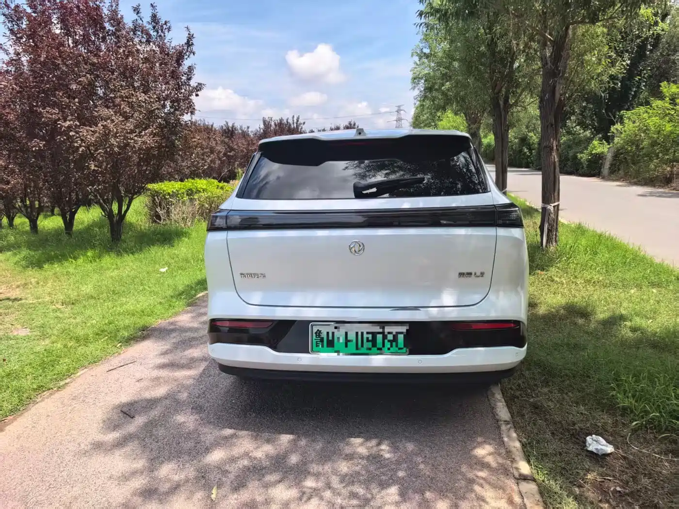 Dongfeng Aeolus L8 2025 2025 Plug-in Hybrid