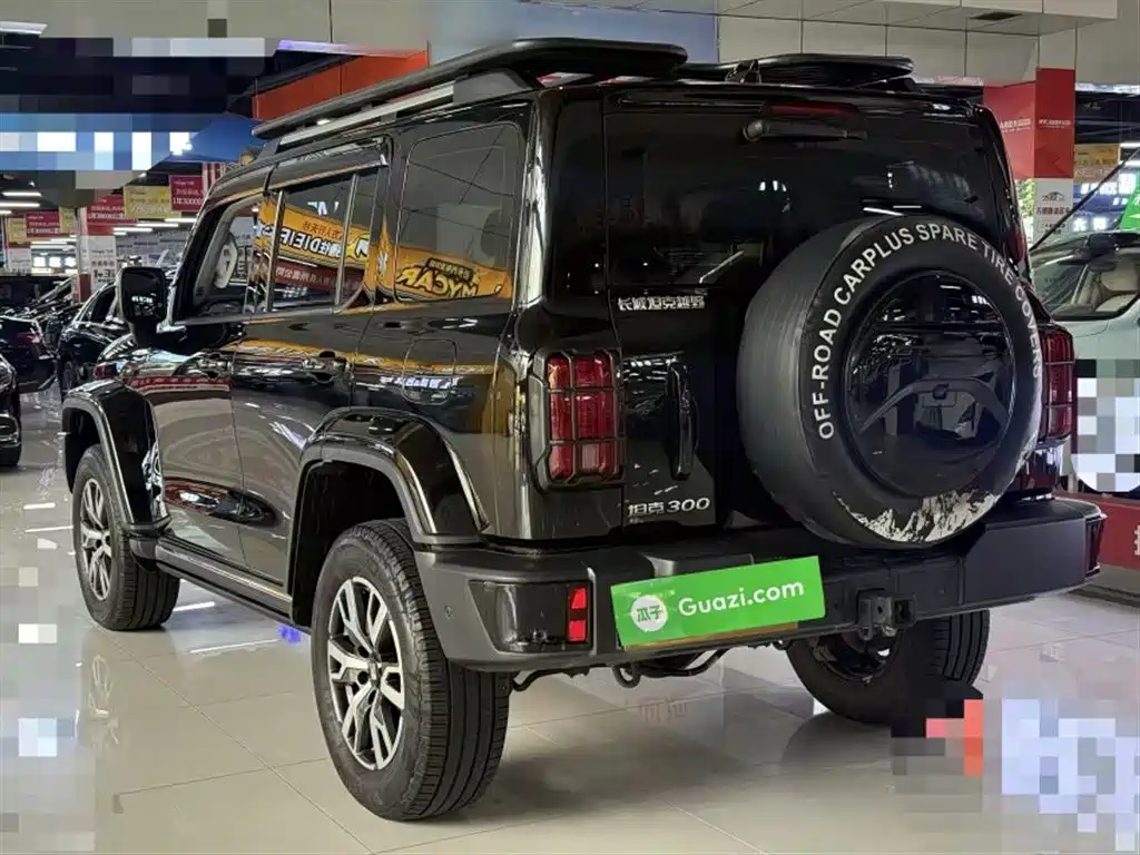 Tank 300 2024 2.0T Explorer фото 13