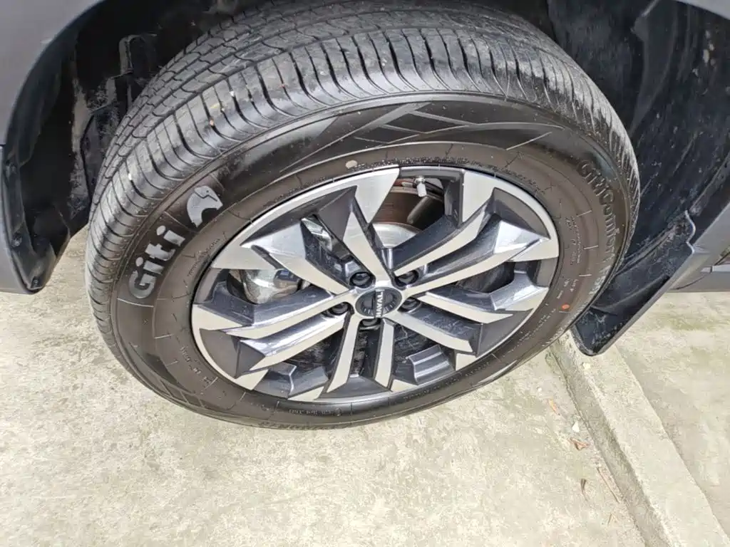 Haval Big Dog 2025 2024 1.5T DCT Border Collie Edition
