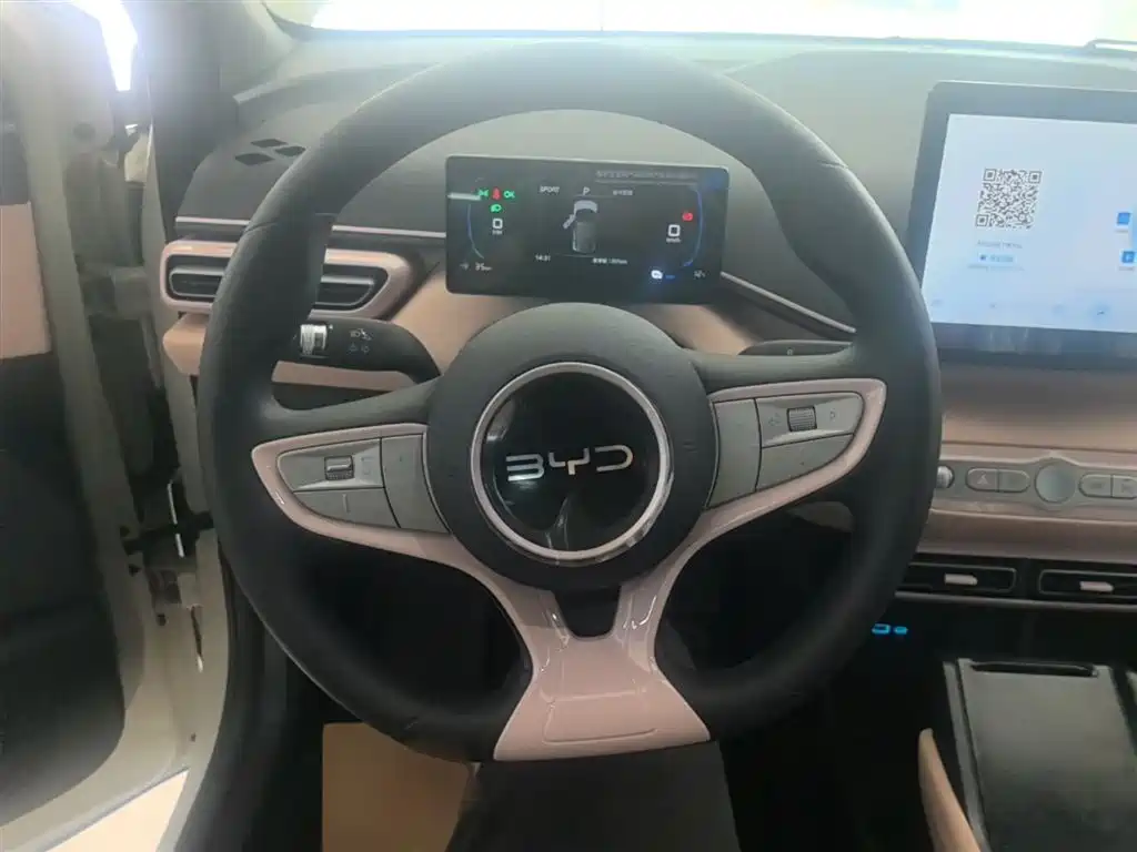 BYD Seagull 2025 305km Vitality фото 11