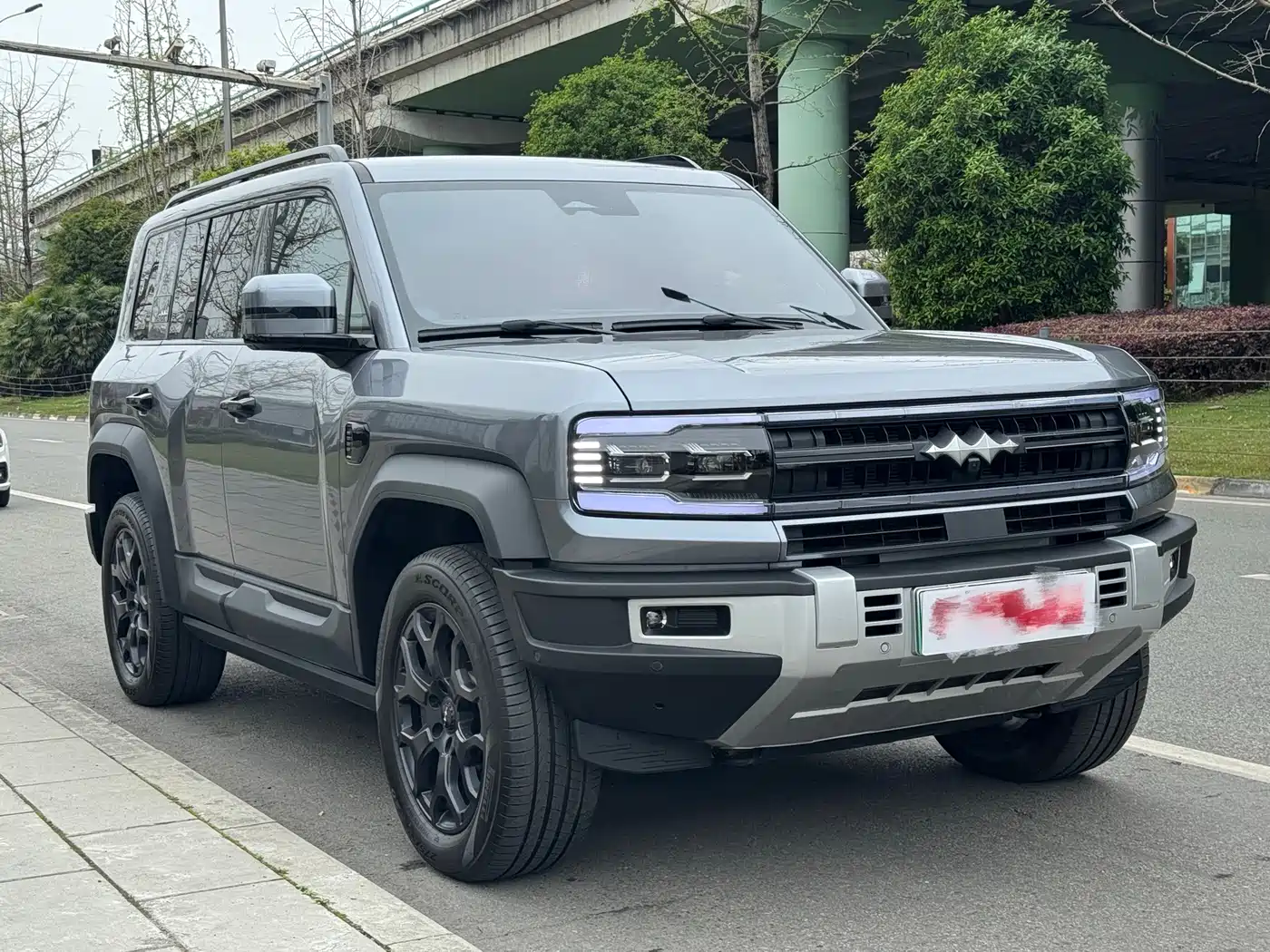 FANG CHENG BAO LEOPARD 5