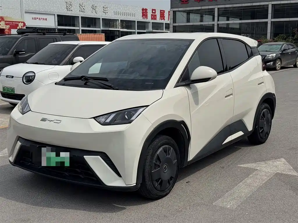 BYD Seagull 2024 Glory Edition 305km Vitality Edition