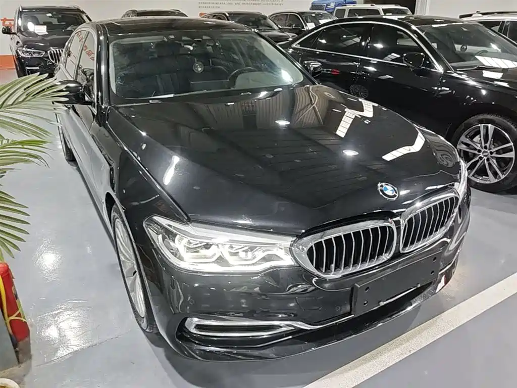 BMW 5 Series New Energy 2019 Facelift 530Le Luxury Package фото 4