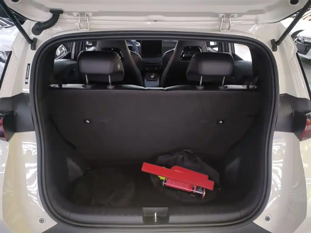 BYD Seagull 2024 Glory Edition 305km Freedom Edition фото 19