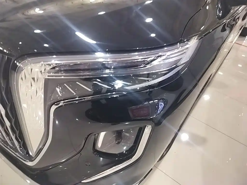 Hongqi HQ9 2023 2.0T Smart Connect Flagship фото 24