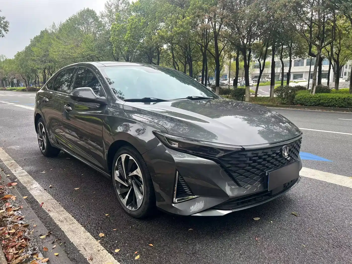 Photo 3 - Changan Ruicheng PLUS