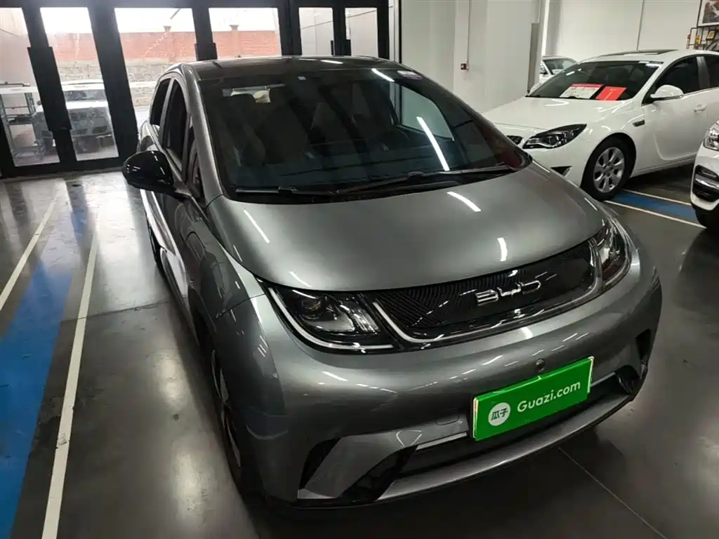 BYD Dolphin 2023 420km Fashion Edition фото 4