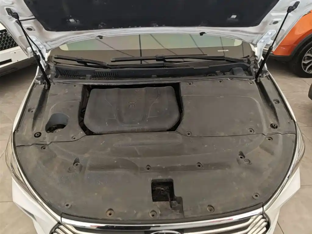 BYD Song MAX 2017 1.5T Auto Smart Elite 7-Seater фото 20