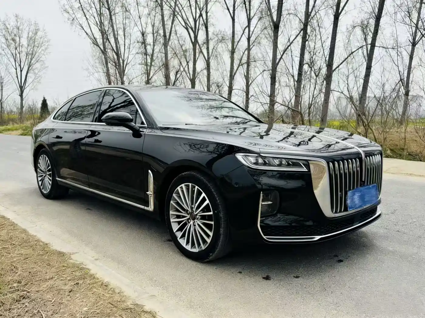 Hongqi HONGQI H9