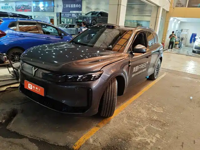 Voyah Auto Voyah Zhiyin 2025