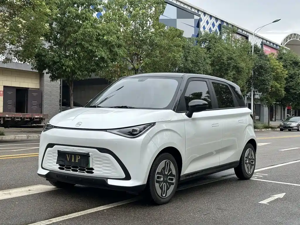 QQ New Energy Duomi 2025 2025 305km Comfort Edition