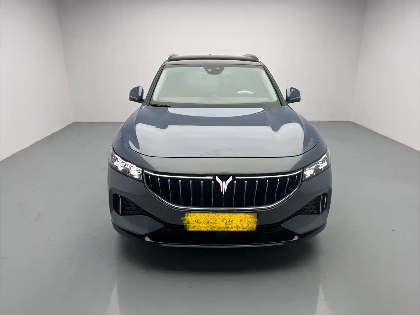 Voyah Auto VOYAH FREE 2021 AWD Standard Range Extender Exclusive Luxury Package фото 2