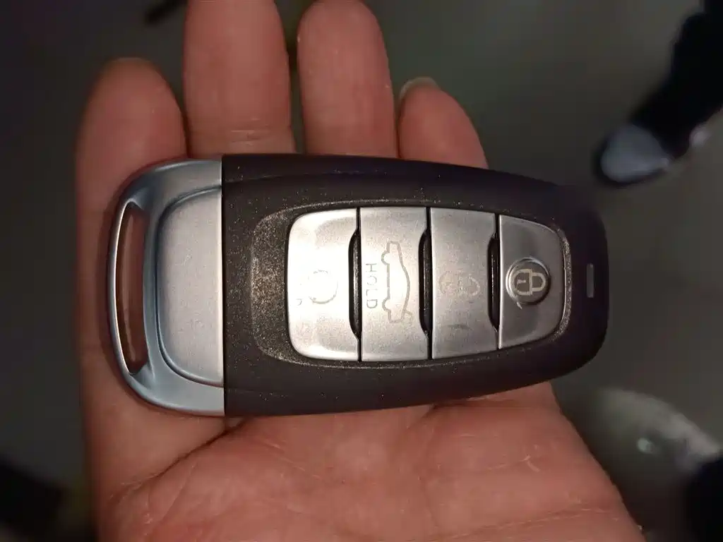 Hongqi E-HS9 2021 510km Flagship Comfort 6-seater фото 9