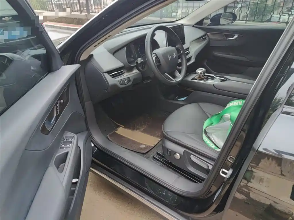 Hongqi E-QM5 2023 Facelift Basic Travel Edition фото 14