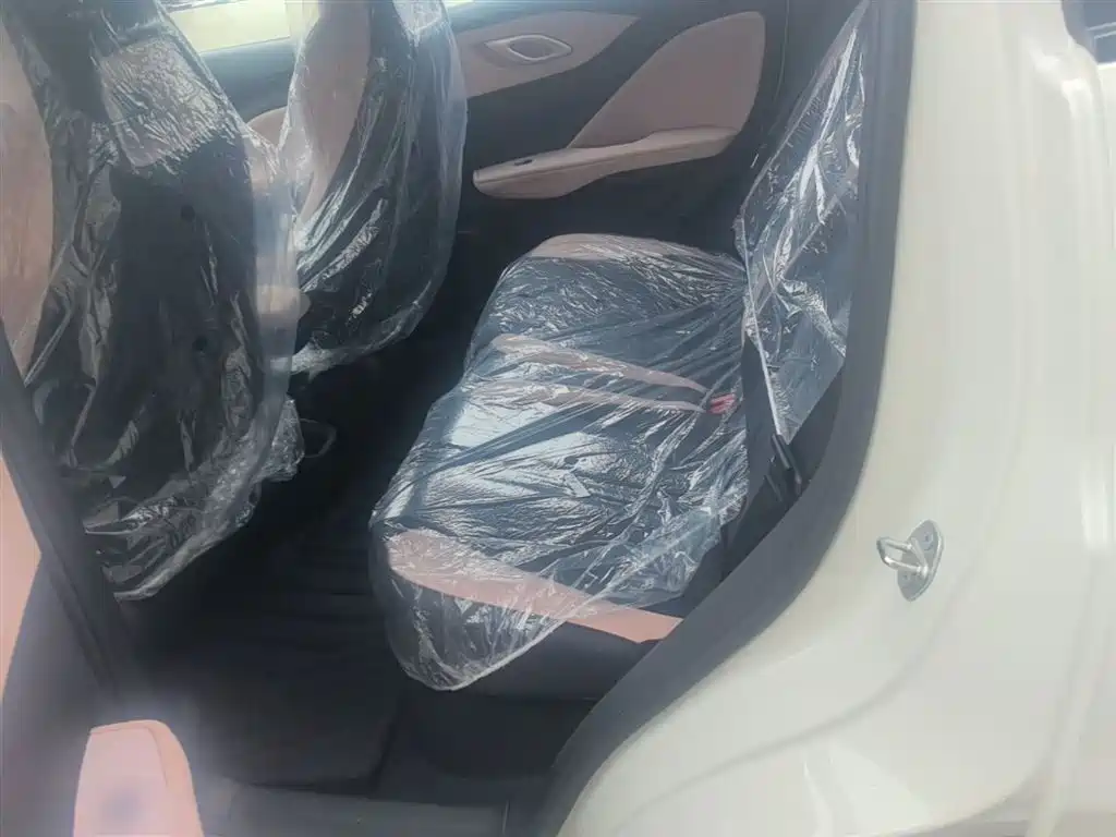 BYD Seagull 2025 Smart Drive Edition 305km Vitality Version фото 17