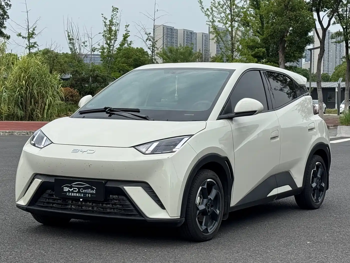 BYD Seagull 2024 Glory Edition 305km Freedom Edition
