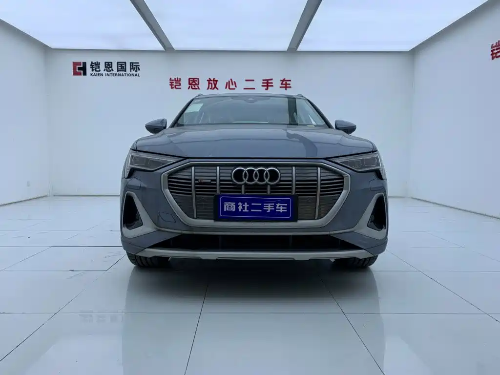 Audi e-tron 2026 2021 50 quattro Luxury