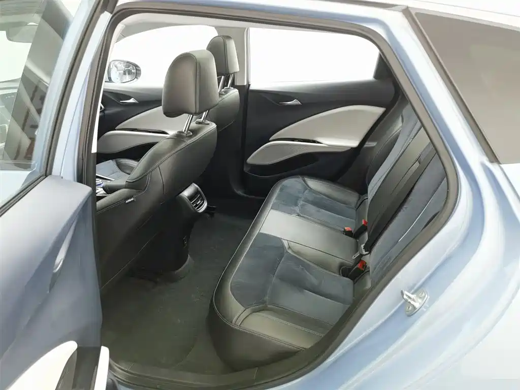 BUICK SLIGHTLY BLUE 6