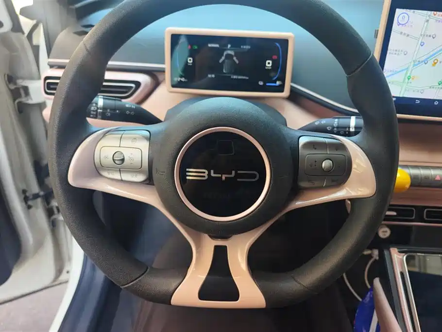 BYD Seagull 2024 Glory Edition 305km Vitality Edition фото 15