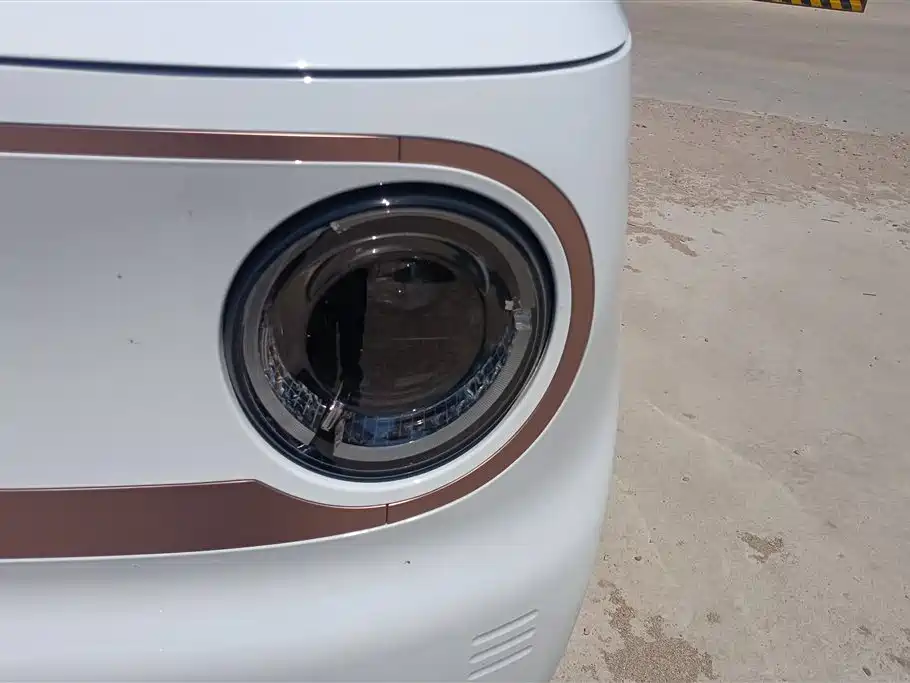Geely Galaxy Panda 2023 Panda Mini 200km Endurance Bear фото 5