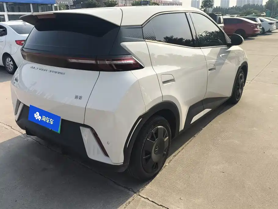 BYD Seagull 2024 Glory Edition 305km Vitality Edition фото 3