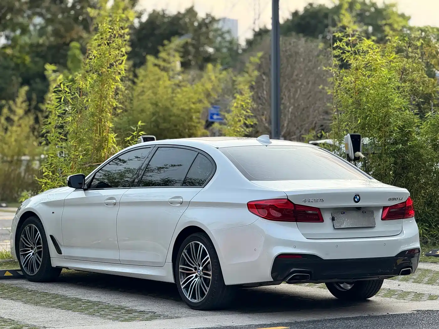 BMW 5 Series 2019 530Li Leading M Sport Package фото 7