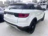 Фото 11 - Landwind X7