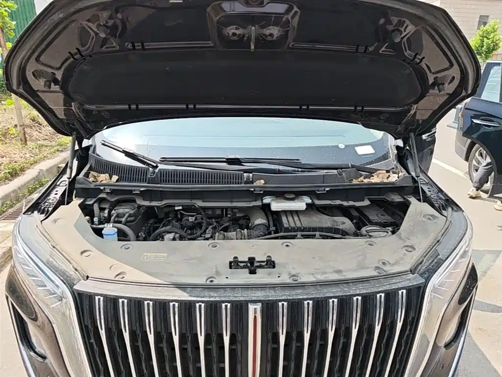 Hongqi HQ9 PHEV 2024 Model 2.0T AWD Business Edition фото 20
