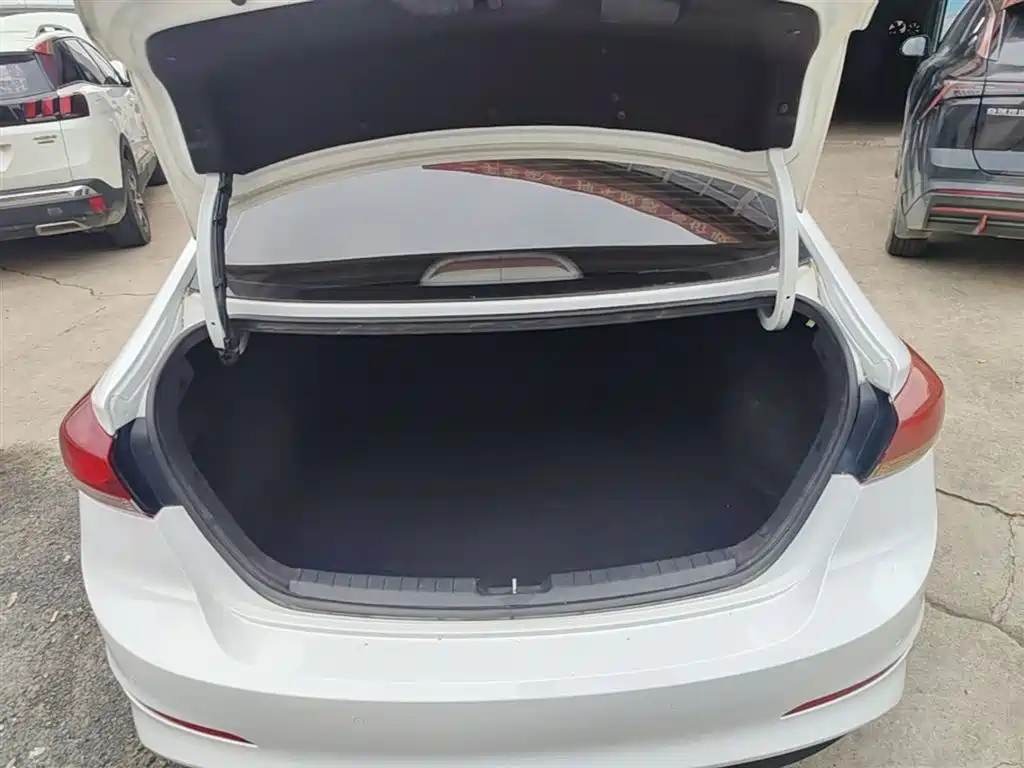 HYUNDAI LEAD