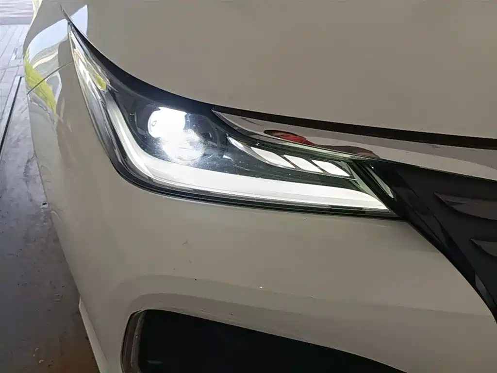 TOYOTA ASIAN LION