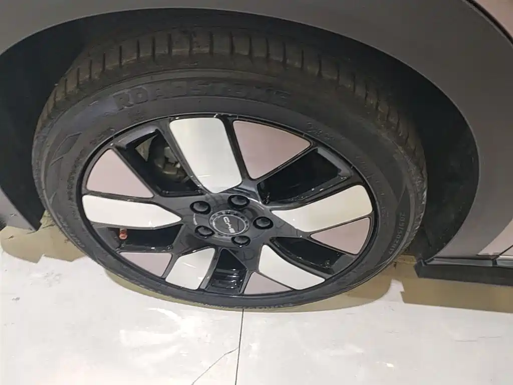 BYD Dolphin 2021 401km Knight Edition фото 23