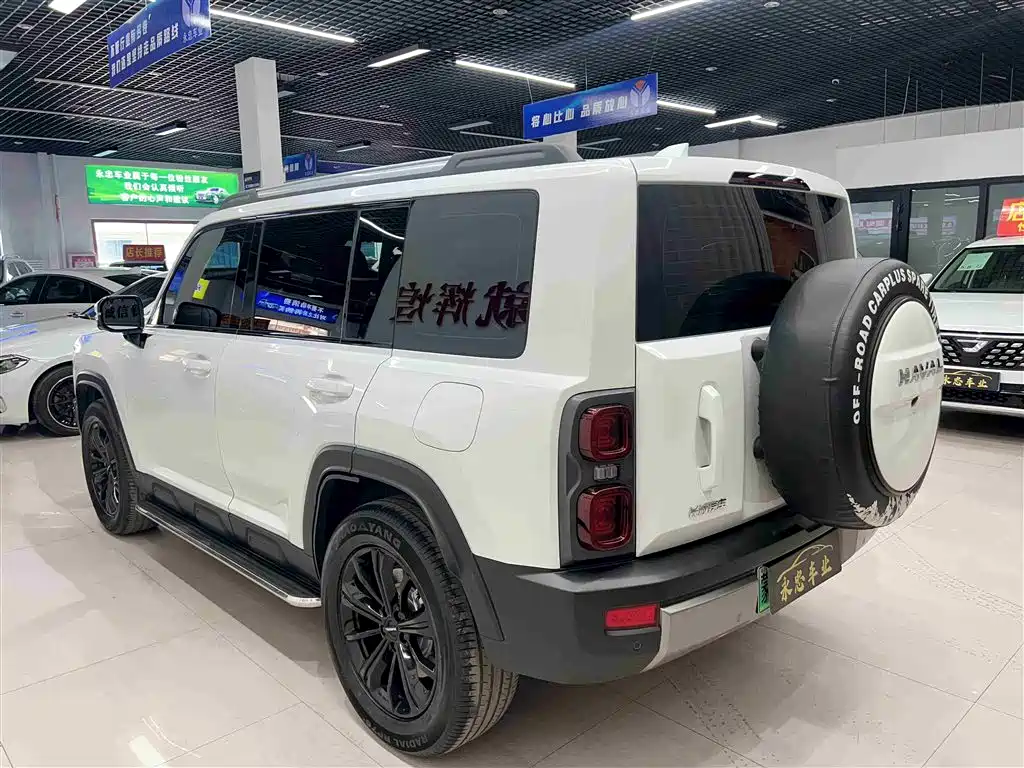Haval Meng Long NEV 2024 Hi4 145 Pro фото 4