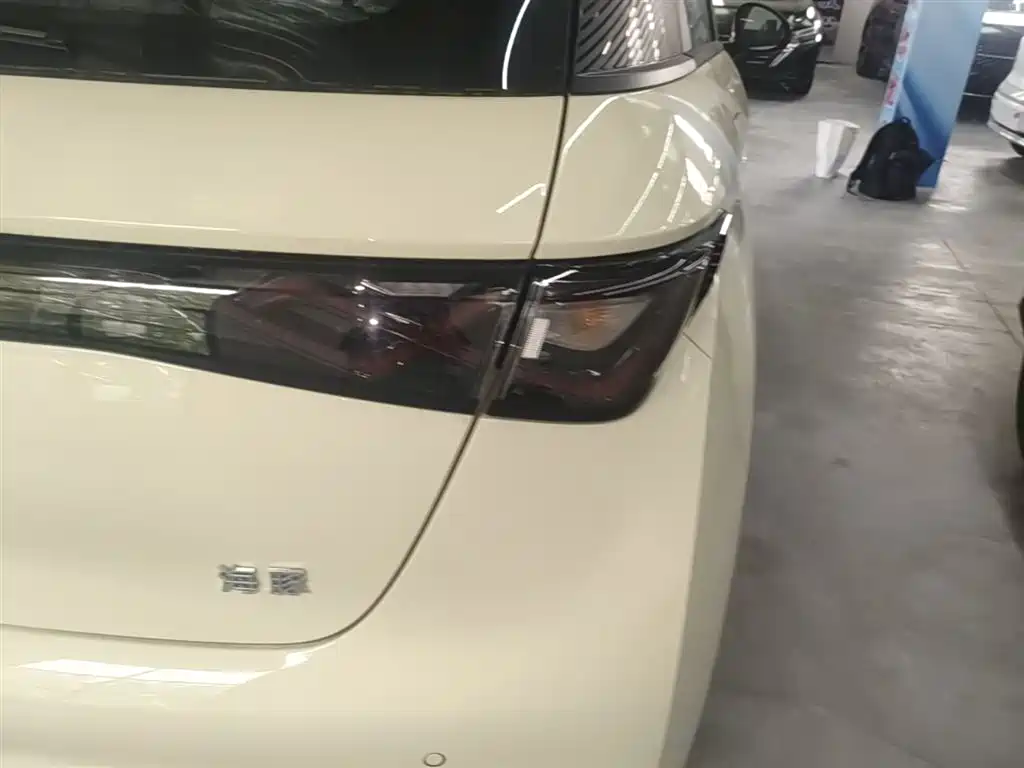 BYD Dolphin 2025 420km Freedom Edition фото 8
