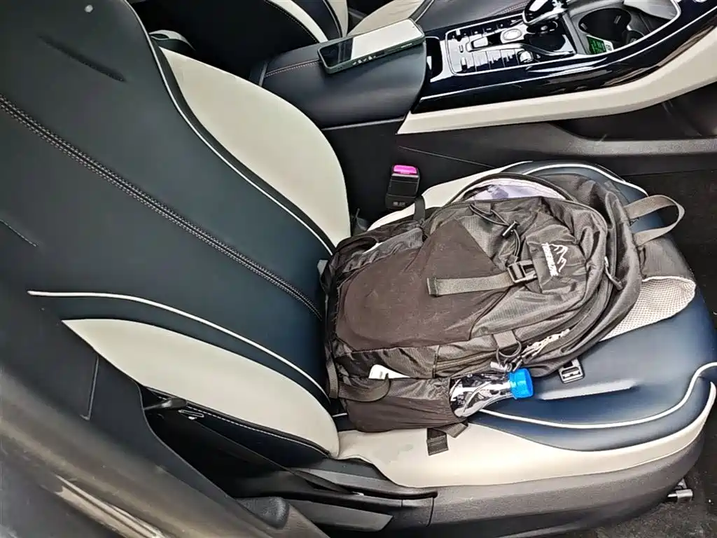 BYD Qin PLUS 2021 DM-i 55KM Flagship фото 25