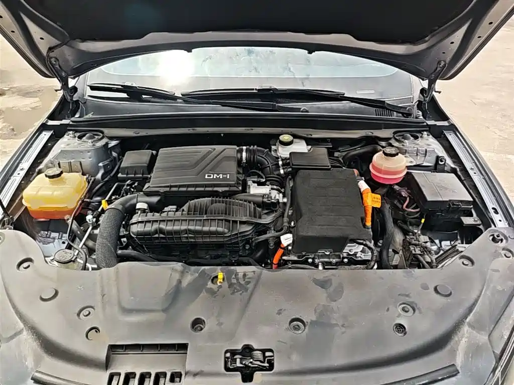 BYD Qin PLUS 2021 DM-i 55KM Flagship фото 20