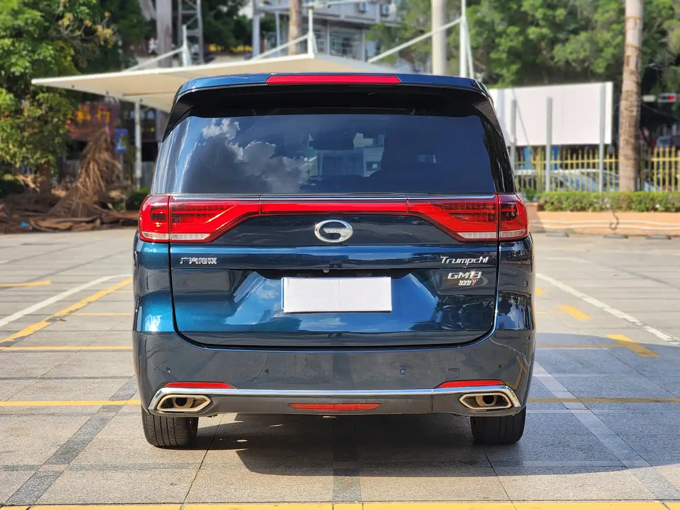 GAC Trumpchi Trumpchi M8 2018 320T Premium Edition фото 6