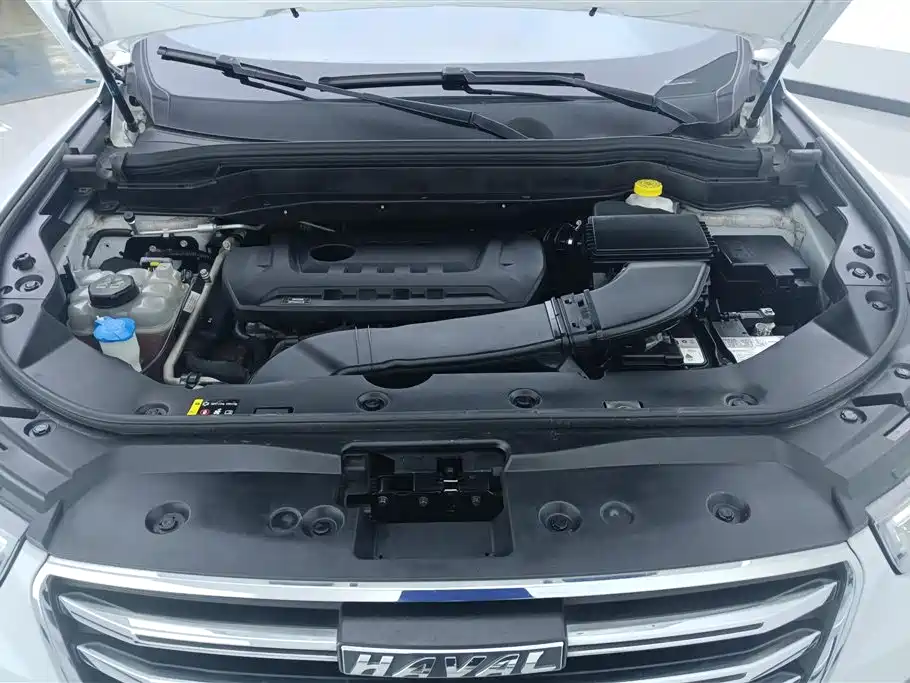Haval H6 2020 2.0GDIT Automatic GT Champion Edition фото 10