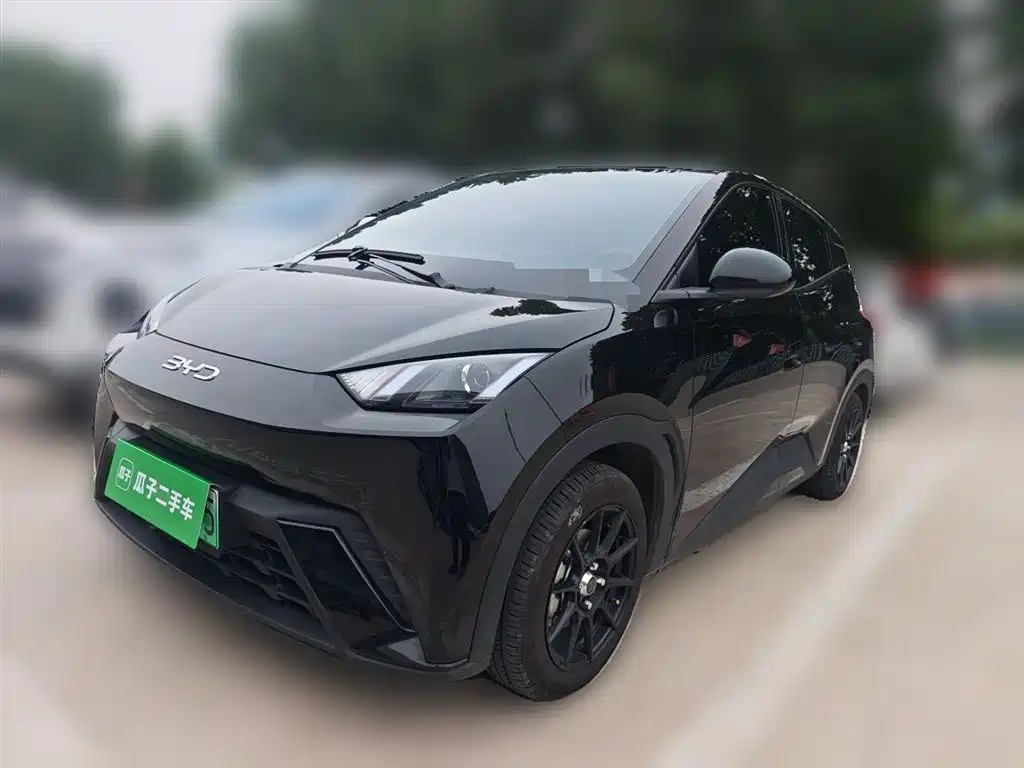 BYD Seagull 2024 Glory Edition 305km Vitality Edition фото 2
