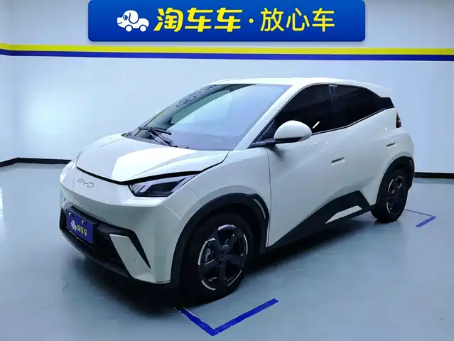 BYD Seagull 2024