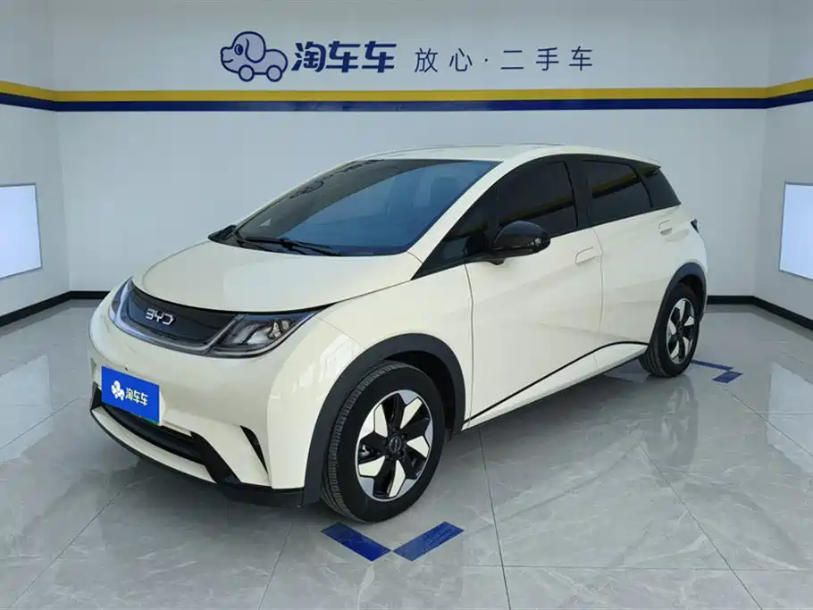 BYD Dolphin 2025 420km Freedom Edition
