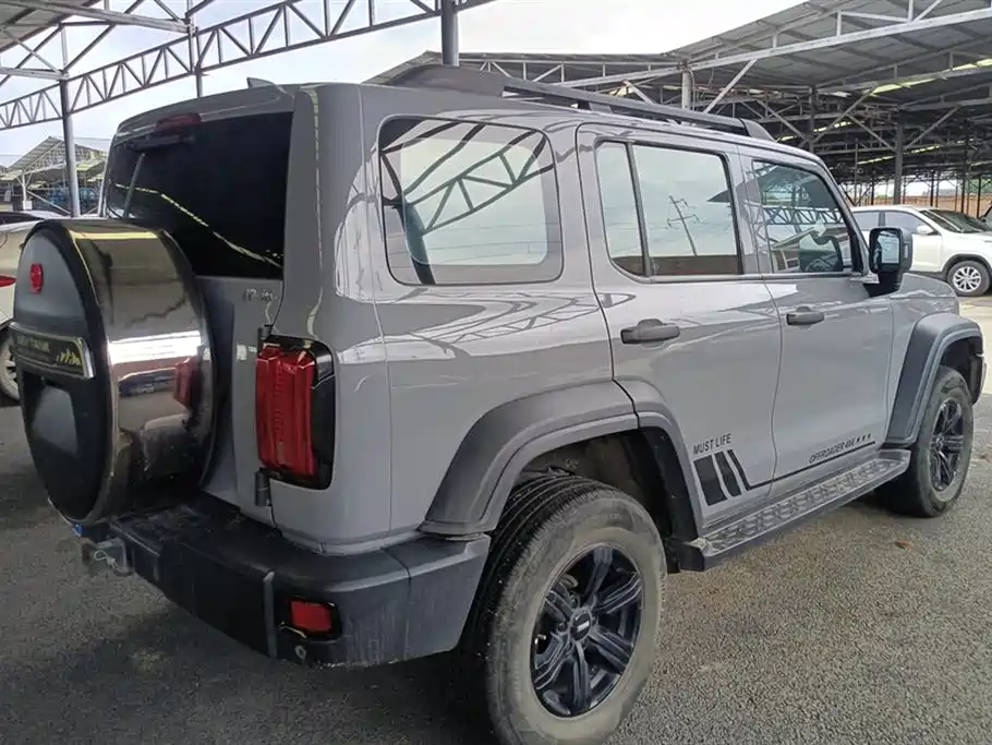 Tank 300 2021 Off-road Version 2.0T Conqueror фото 3