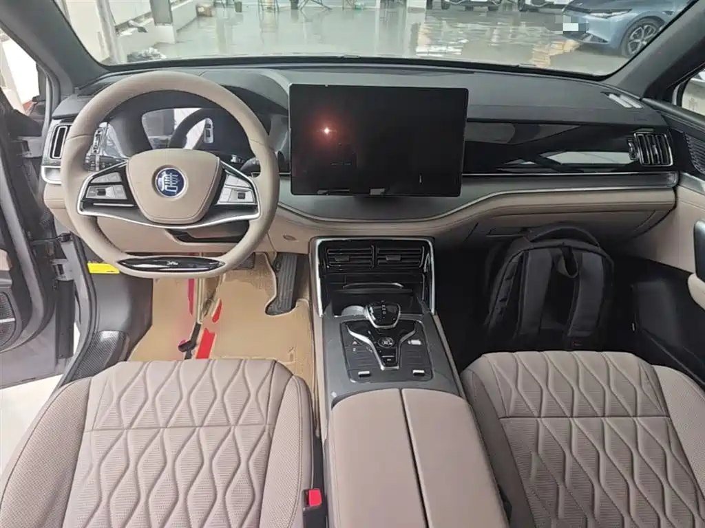 BYD Tang New Energy 2025 DM-i 115KM Premium фото 10